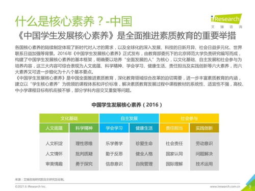 2021年中國(guó)素質(zhì)教育行業(yè)趨勢(shì)洞察報(bào)告 教育咨詢(xún)服務(wù)的變革與機(jī)遇